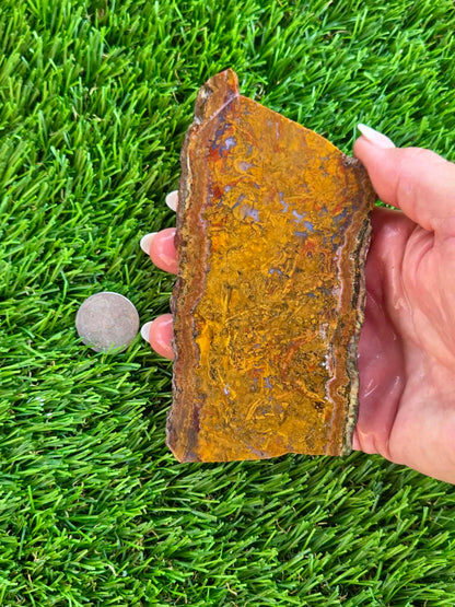 Plume Moss Agate Slabs L553-556