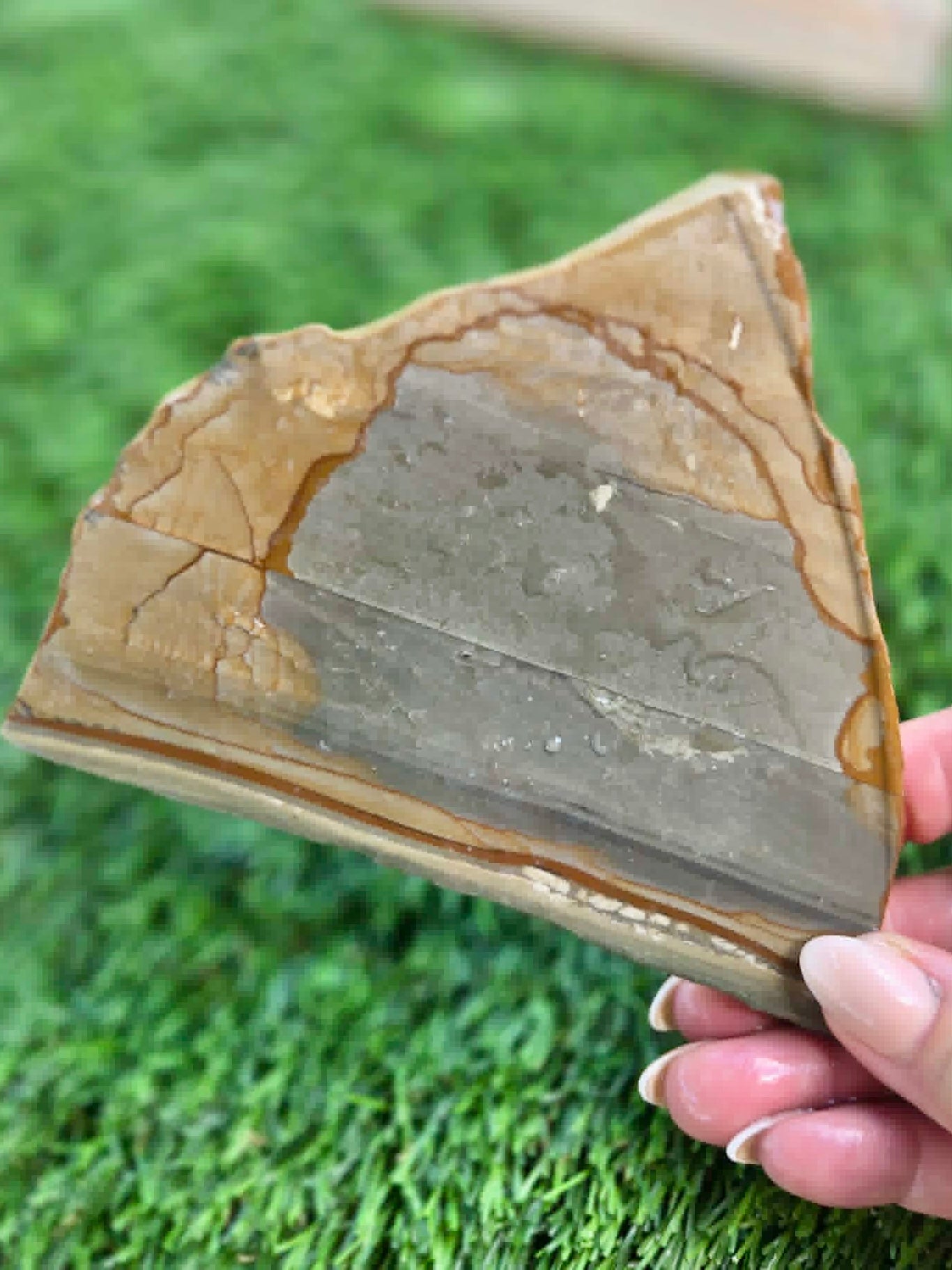 Green Landscape Picture Jasper G330-331
