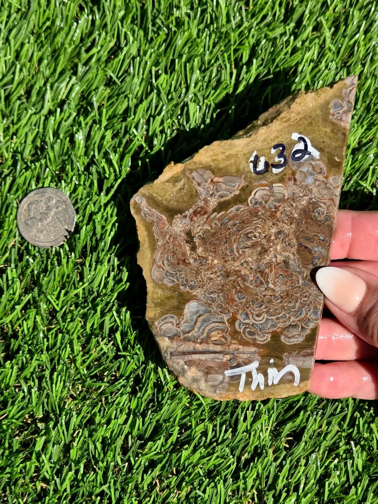 Green Mushroom Rhyolite M630-638