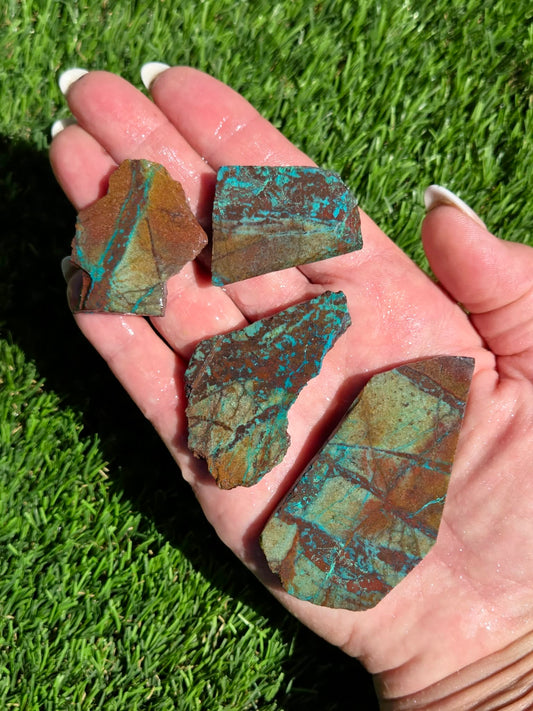 Globe Chrysocolla Slab Bundle-SB1