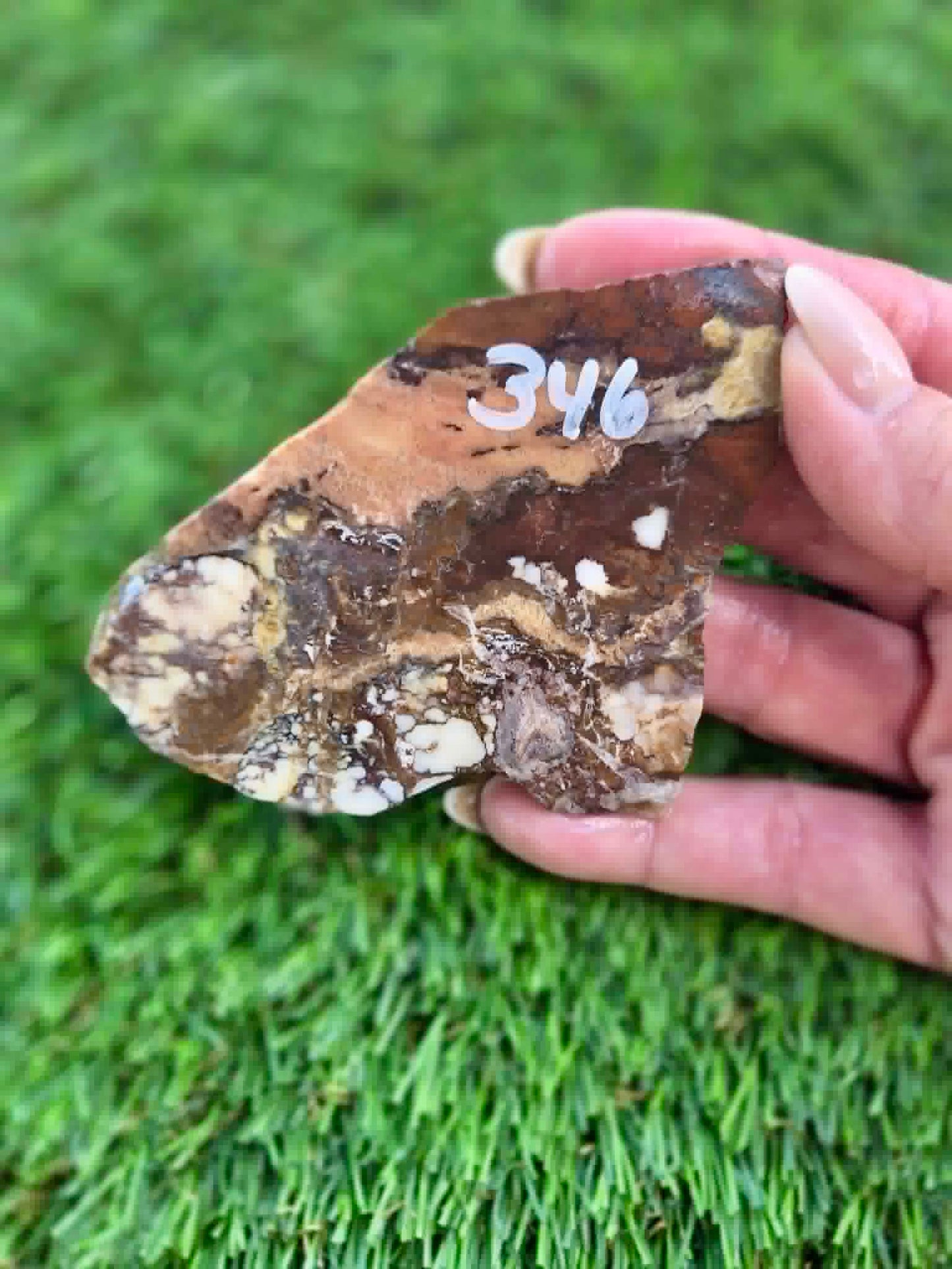Wild Horse Jasper Slabs G342-348