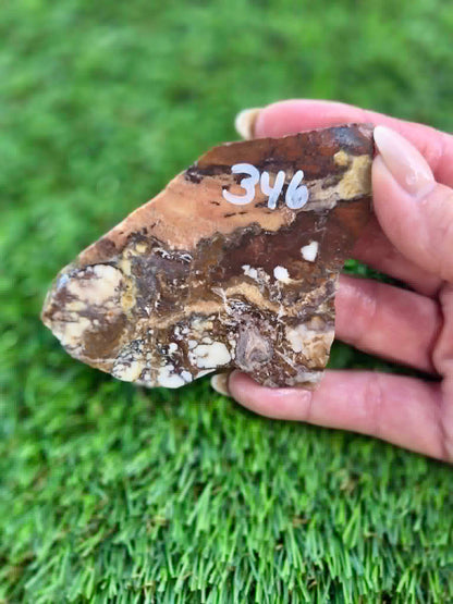 Wild Horse Jasper Slabs G342-348