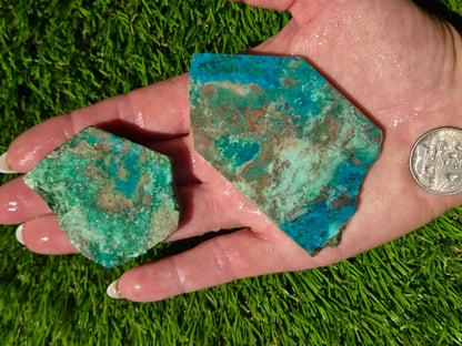 Globe Chrysocolla Slab Bundle-SB90