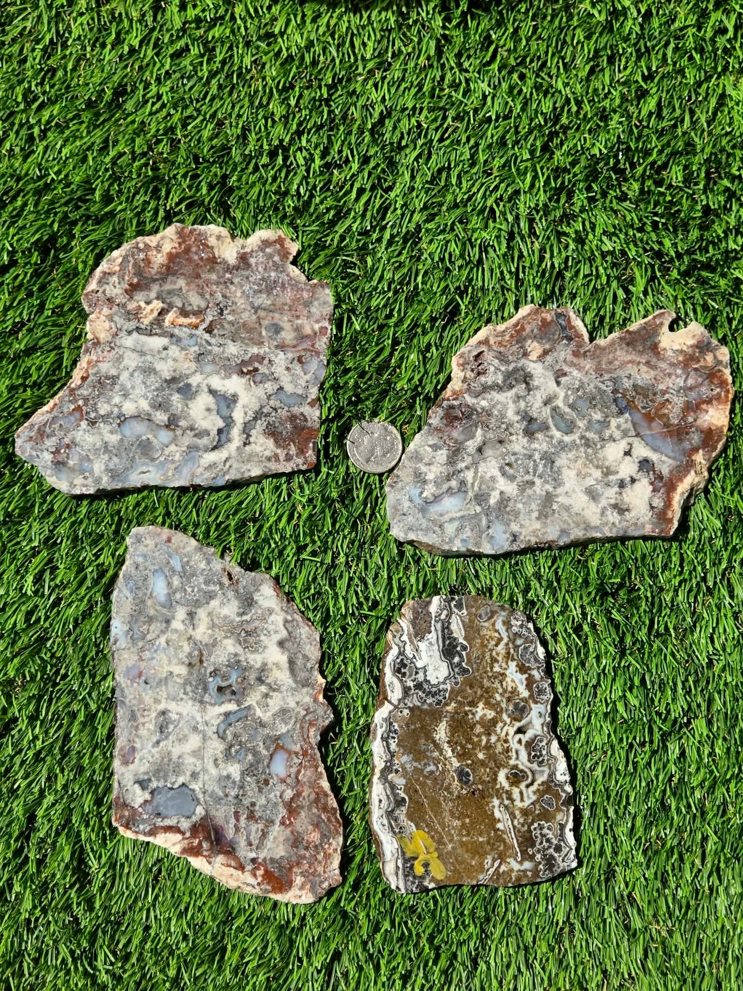 Camp Verde Agate Slabs R848–851