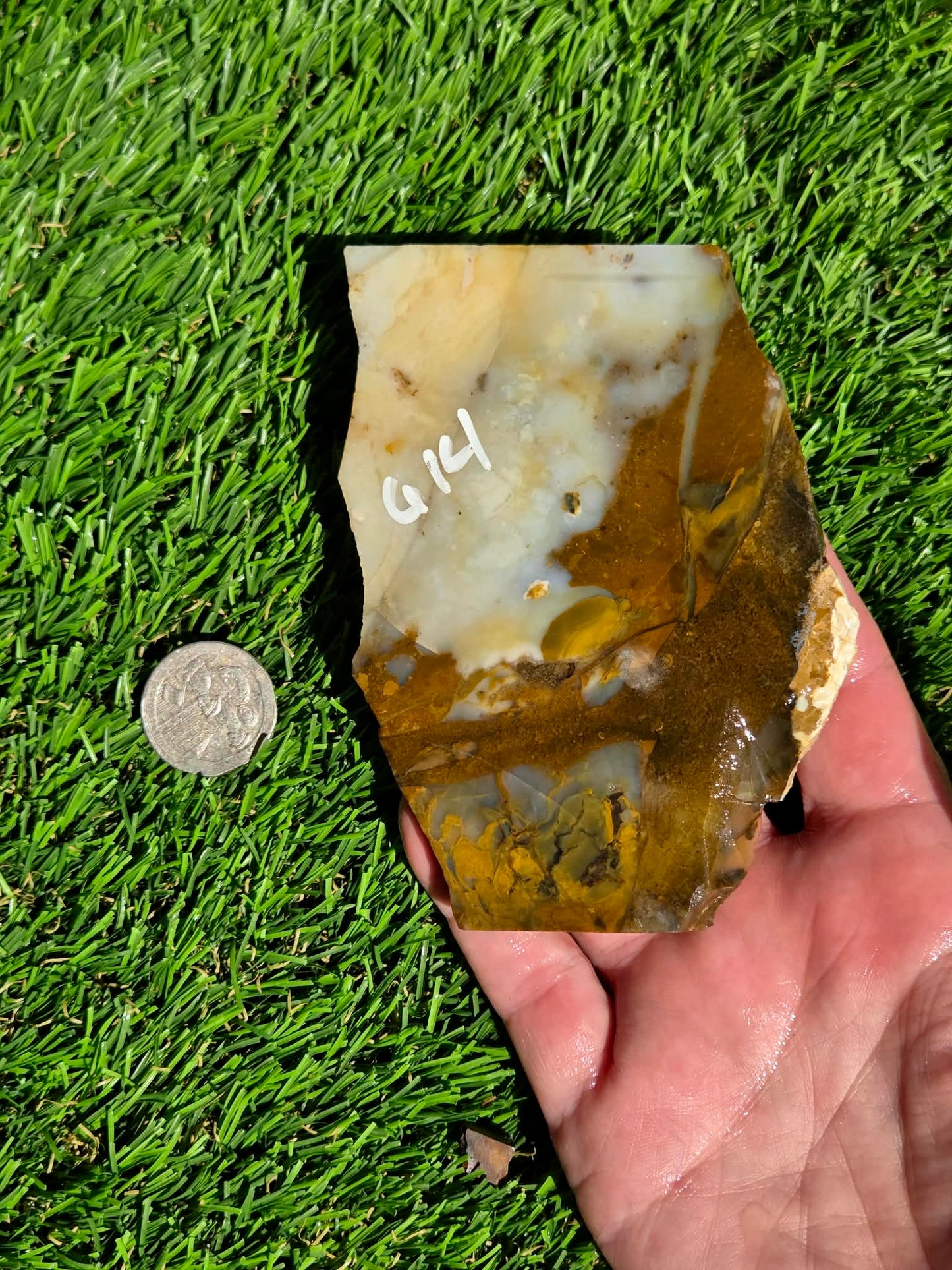Oregon Polka Dot Jasper Slabs M612-617
