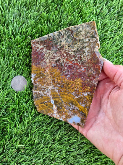 Camp Verde Moss Agate Slabs M591-594