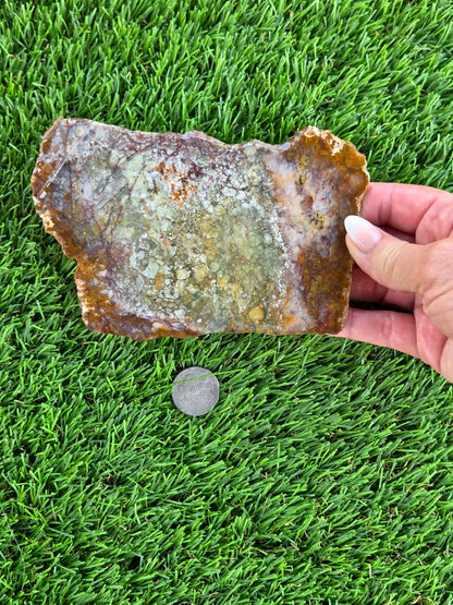 Brecciated Jasper Slabs N658-660