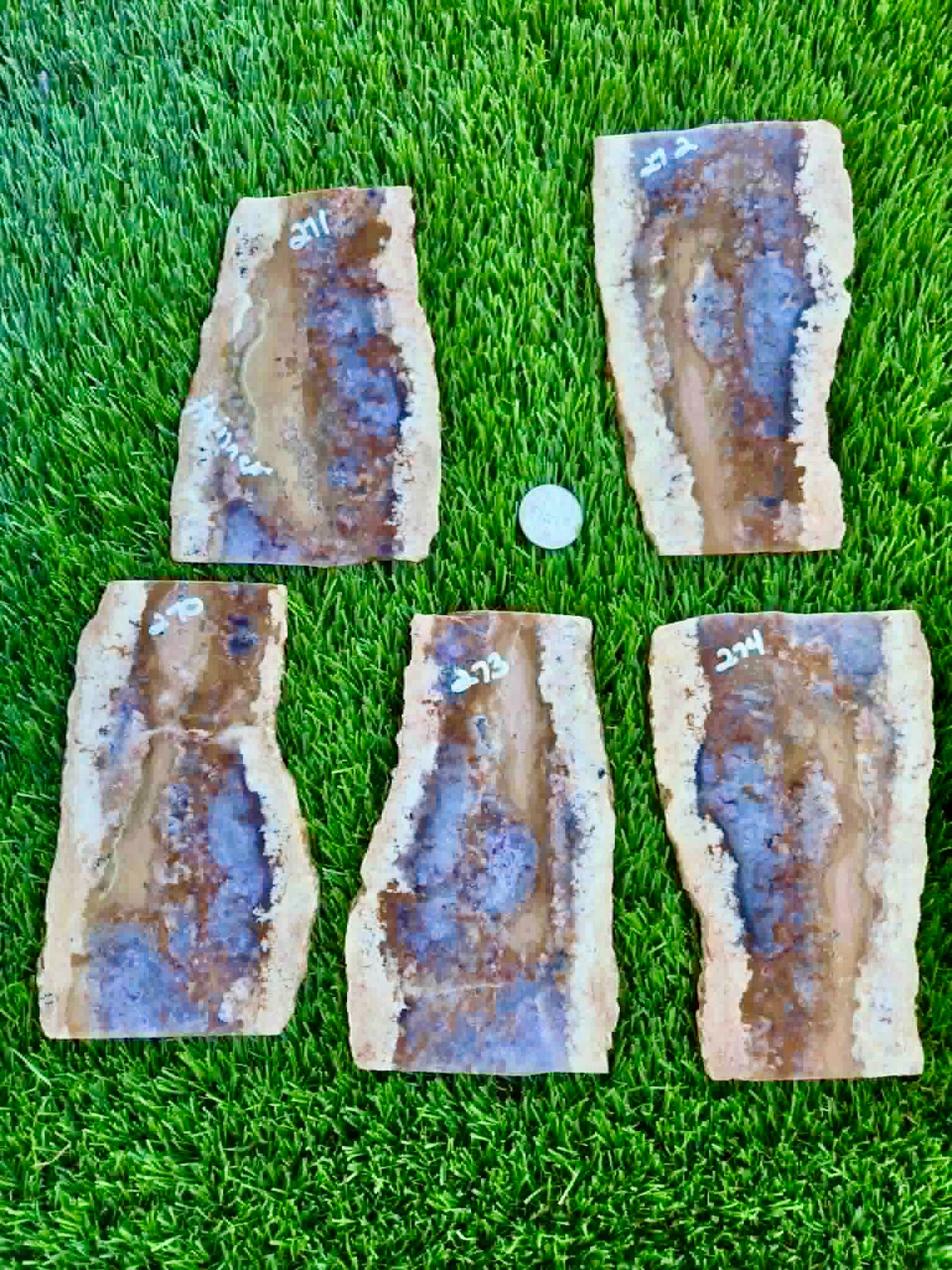 Purple Burro Creek Agate Slab 270-274