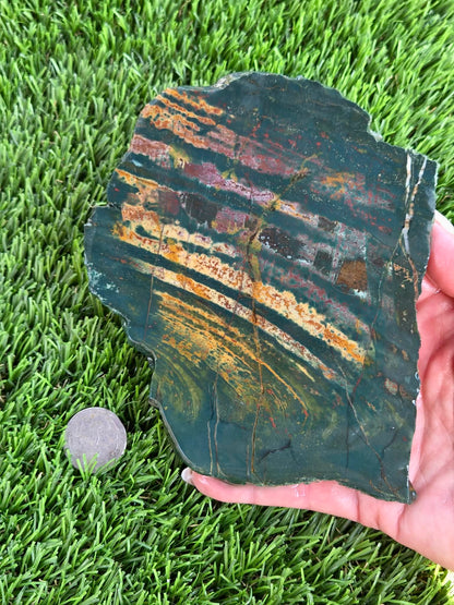 Green Jasper with Tiger Stripes Slabs M605-611