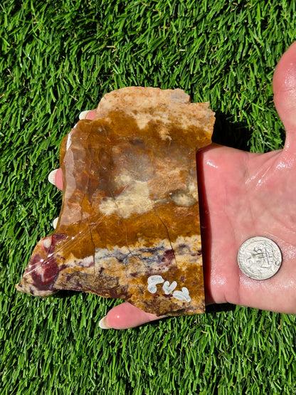 Burro Creek Jasper Slabs R841–847