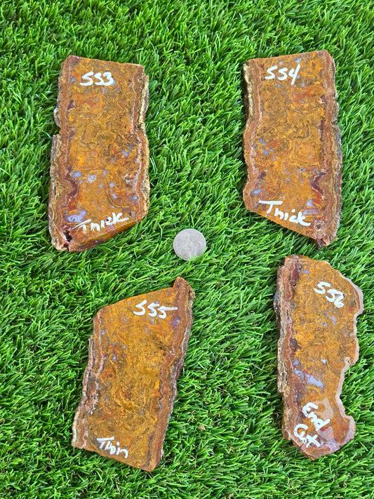 Plume Moss Agate Slabs L553-556