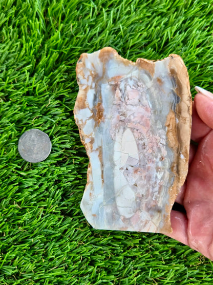 Peach, Cream & Gray Banded Agate Slabs N678-683