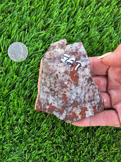 Brecciated Red Jasper with Quartz Slabs O727–730