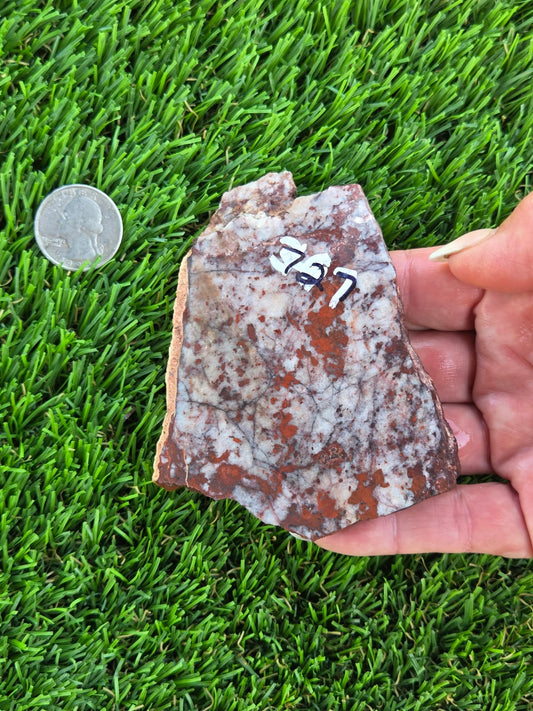 Brecciated Red Jasper with Quartz Slabs O727–730