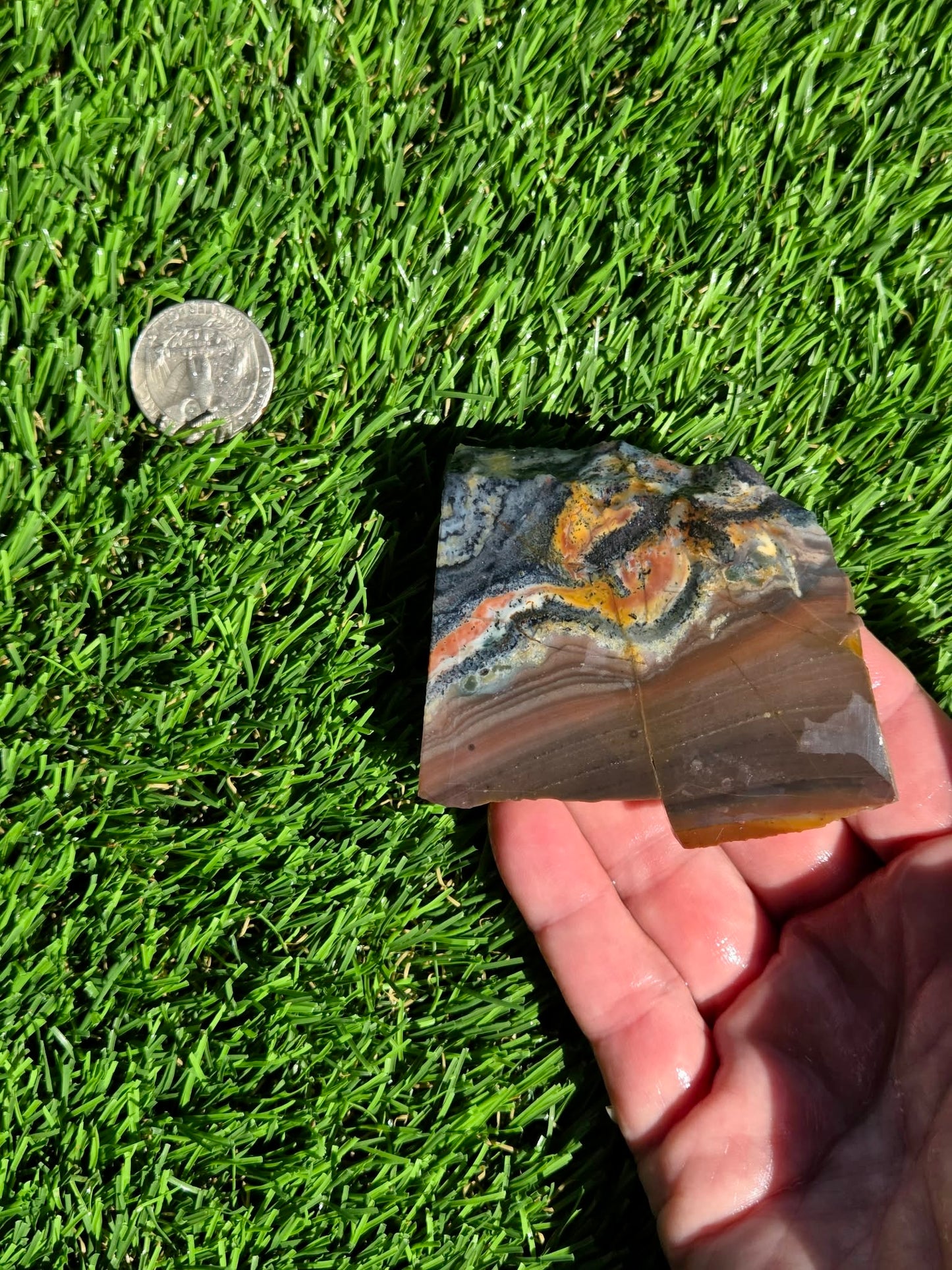 Indonesian Banded Hematite Slabs O693-698