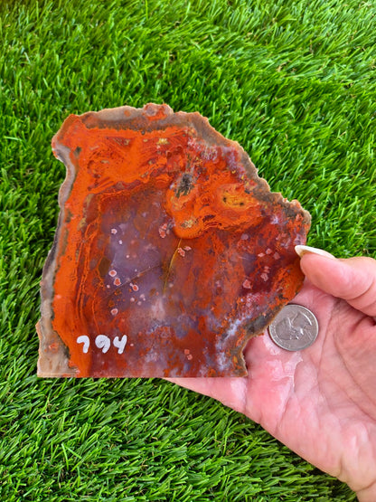 Red Carnelian Fortification Agate Slabs Q794–796