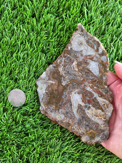 Green Mushroom Rhyolite M601-604