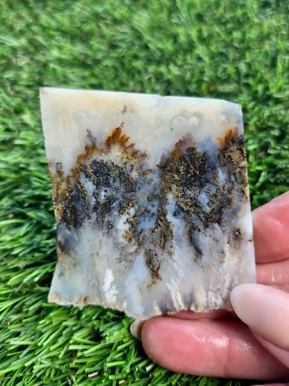 Graveyard Point Plume Agate Slabs G317-322