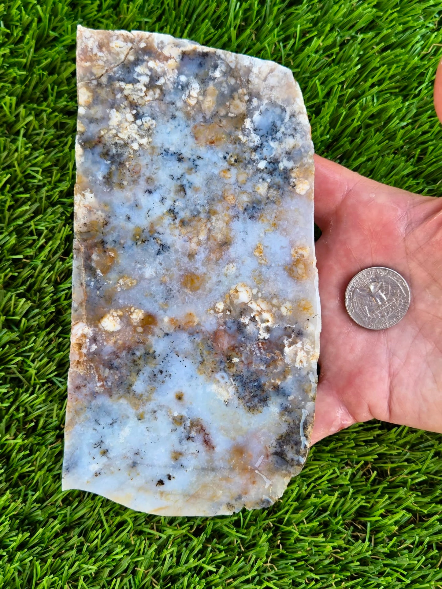 Moss Agate with Dendritic Inclusions Slabs Q797–798