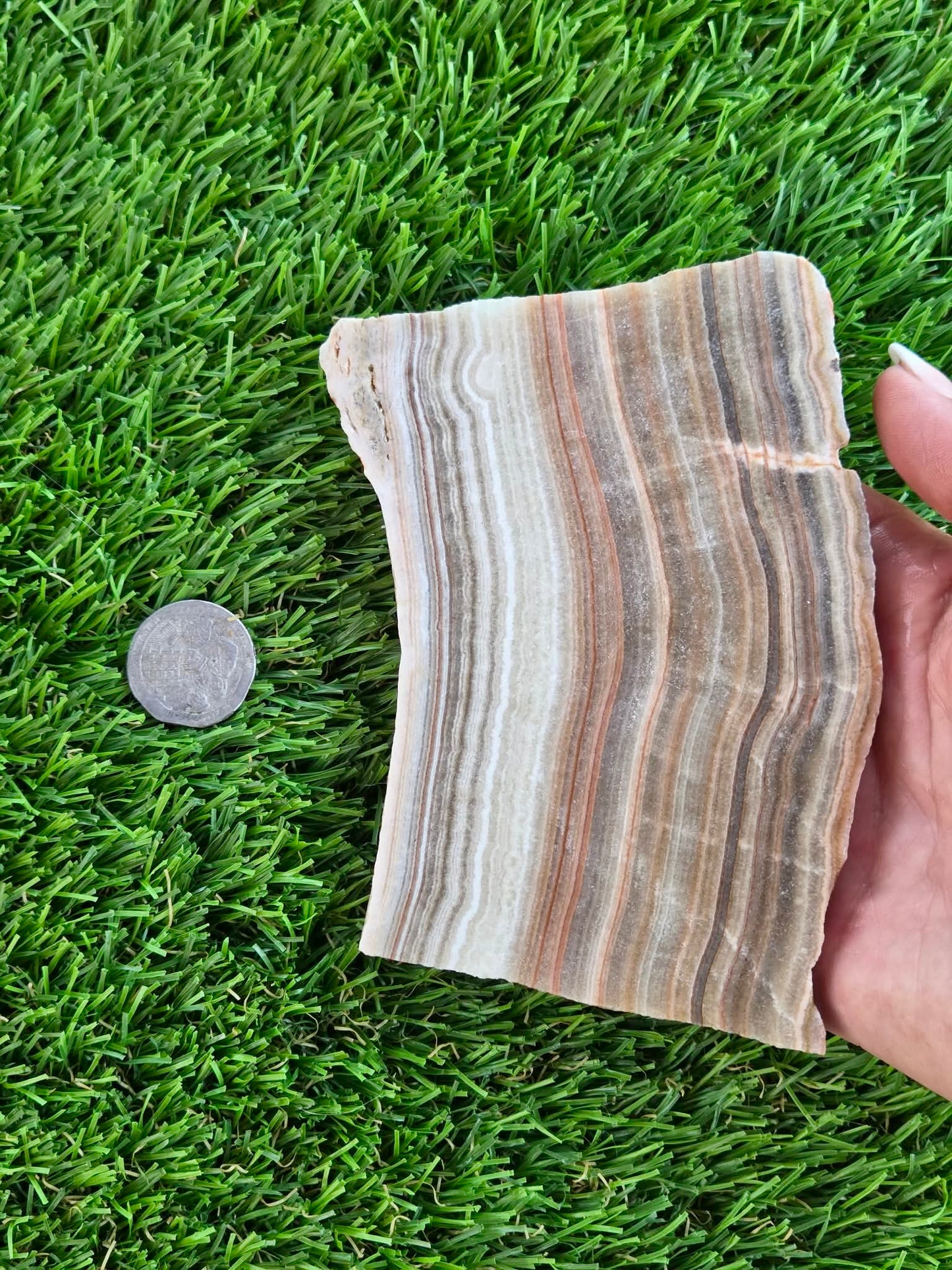 Natural Mexican Onyx Calcite Slabs L567-568
