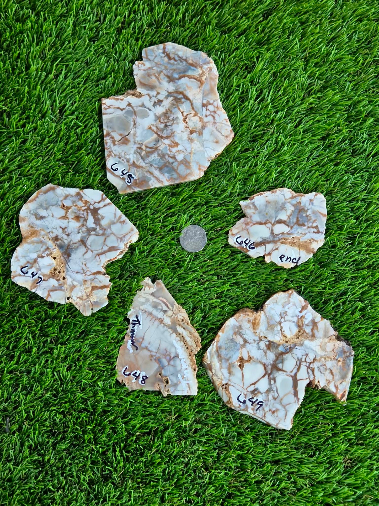 Natural Brecciated Jasper Slabs N645-649