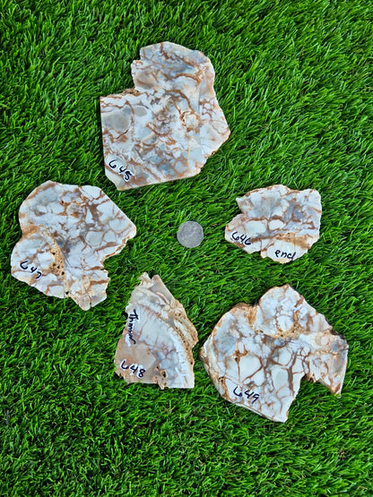 Natural Brecciated Jasper Slabs N645-649