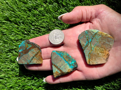 Globe Chrysocolla Slab Bundle-SB49