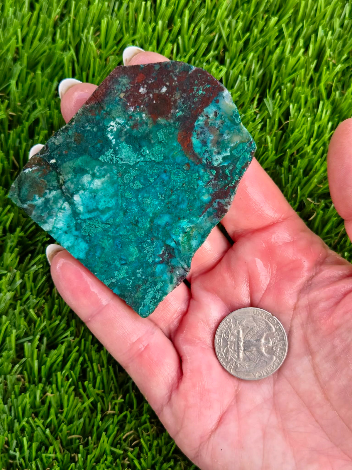 Globe Chrysocolla & Malachite Slabs V985–990