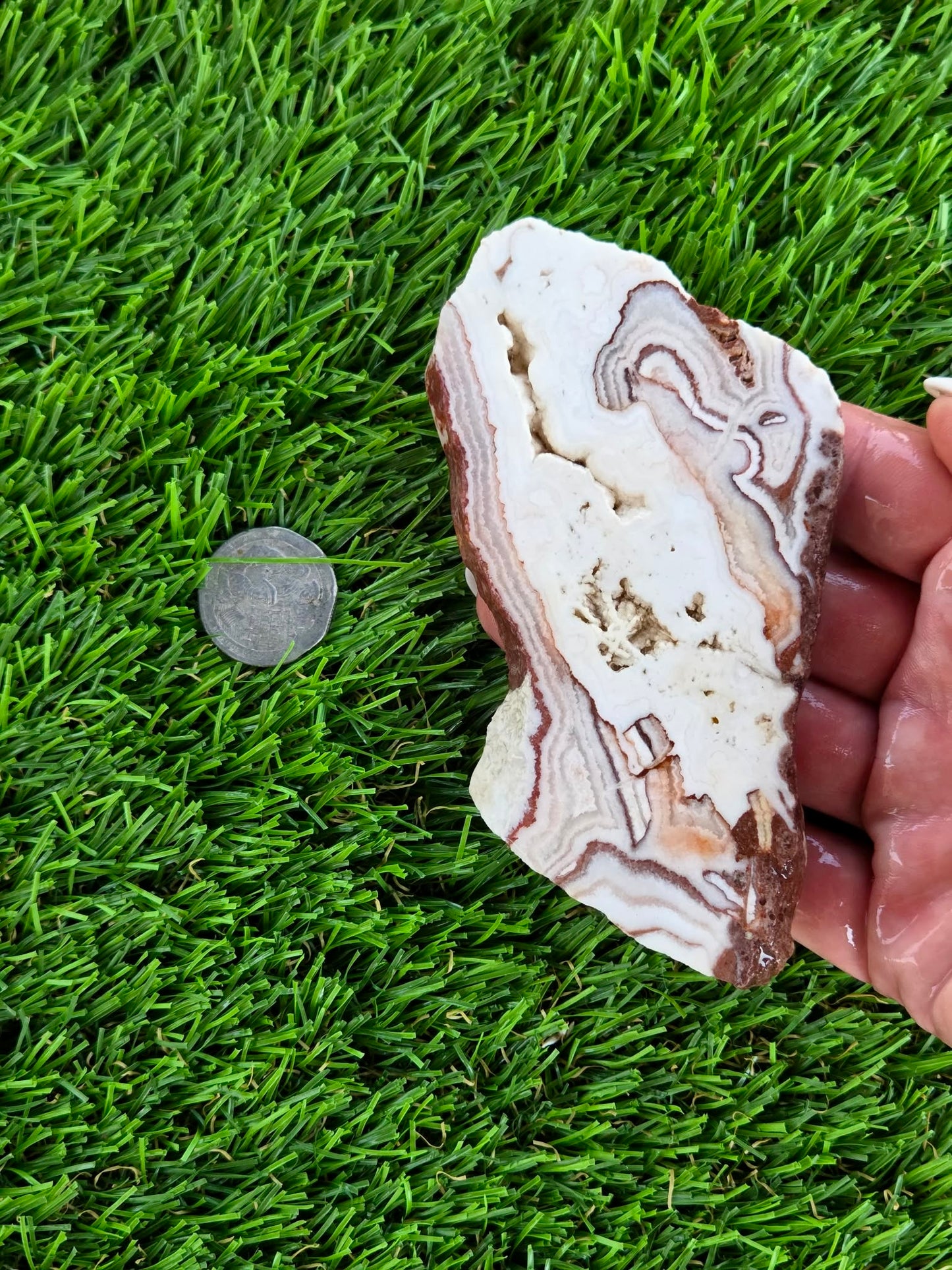 Mexican Moon Lace Agate Slabs N661-662