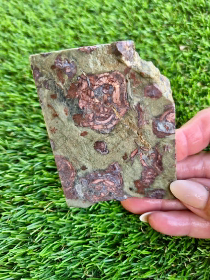 Green Mushroom Rhyolite Slabs G360-362