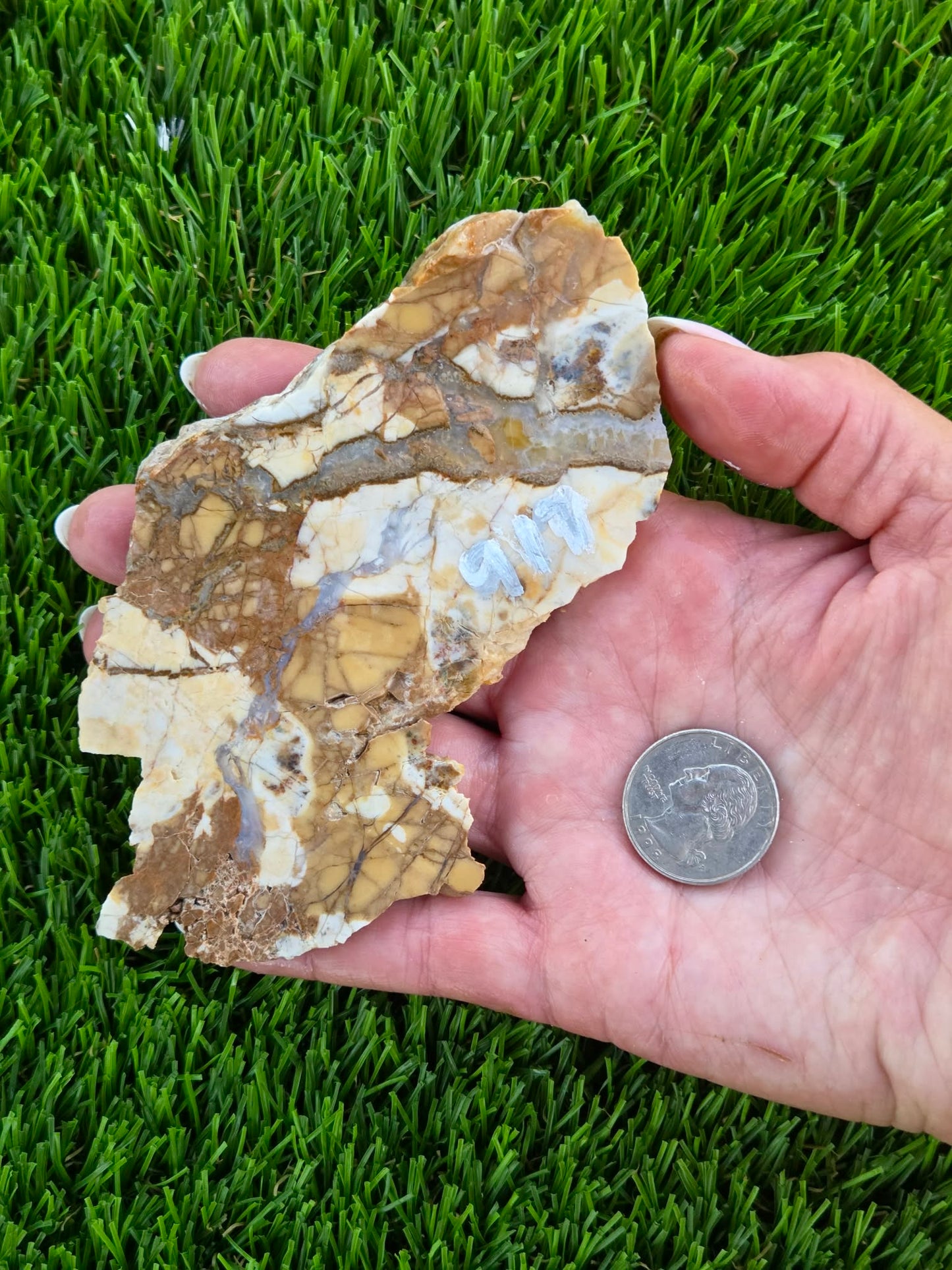 Brecciated Jasper Slabs T917–921