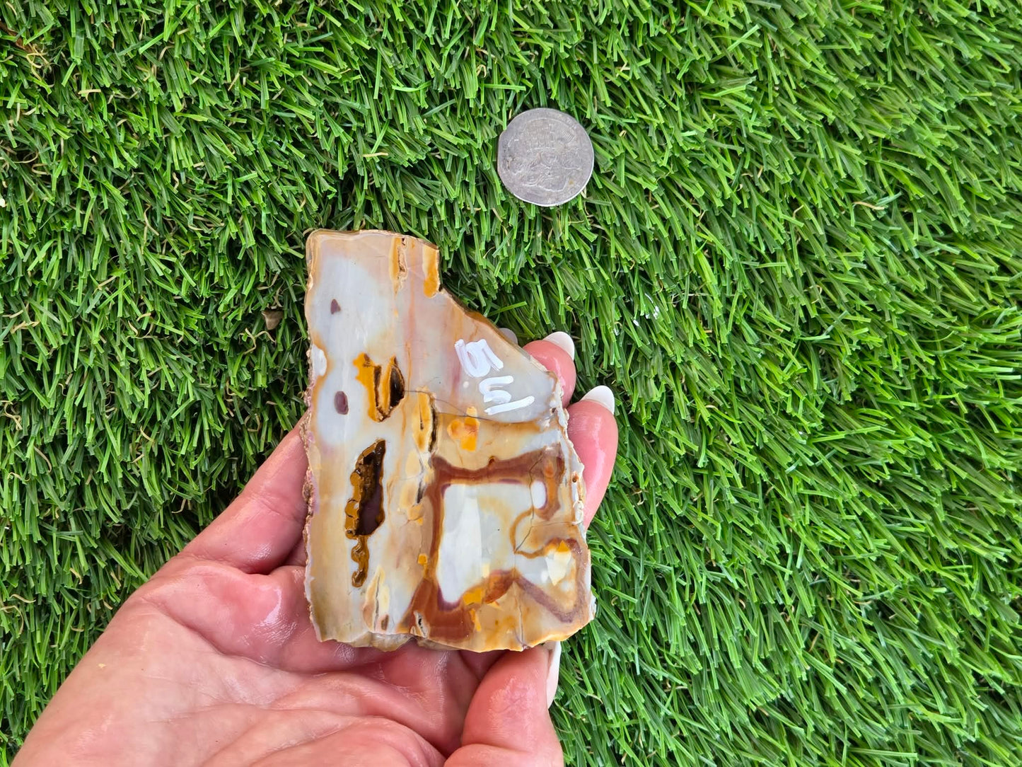 Banded Brecciated Jasper/Agate Slabs L557-562