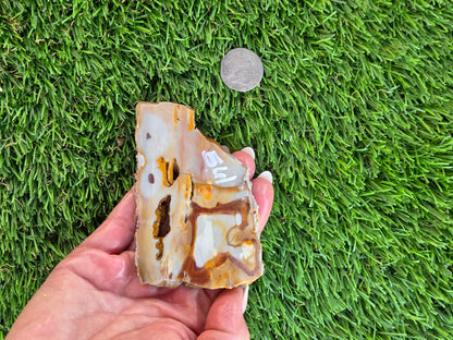 Banded Brecciated Jasper/Agate Slabs L557-562