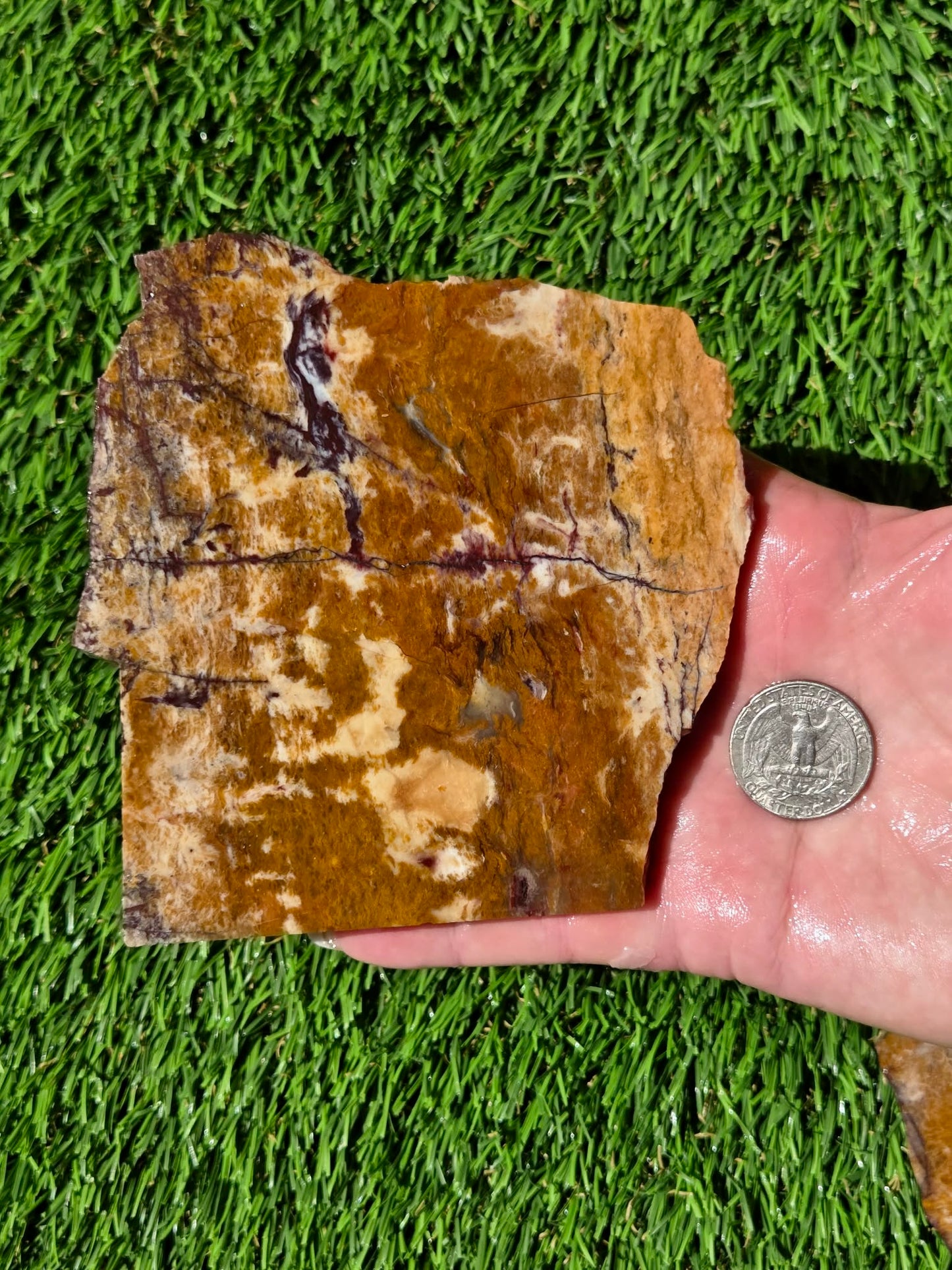 Burro Creek Jasper Slabs R841–847