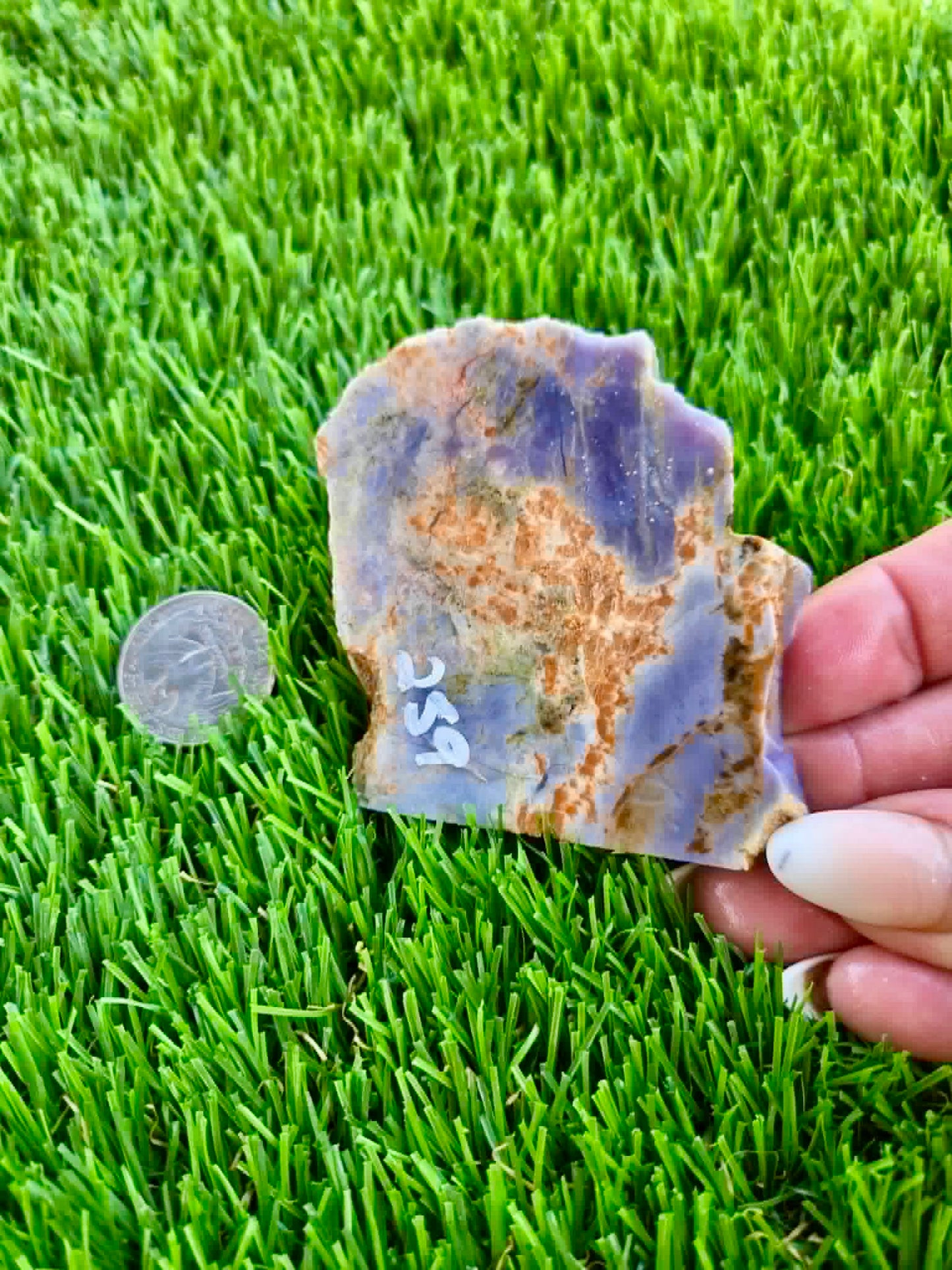 Purple Burro Creek Agate Slab 257-262