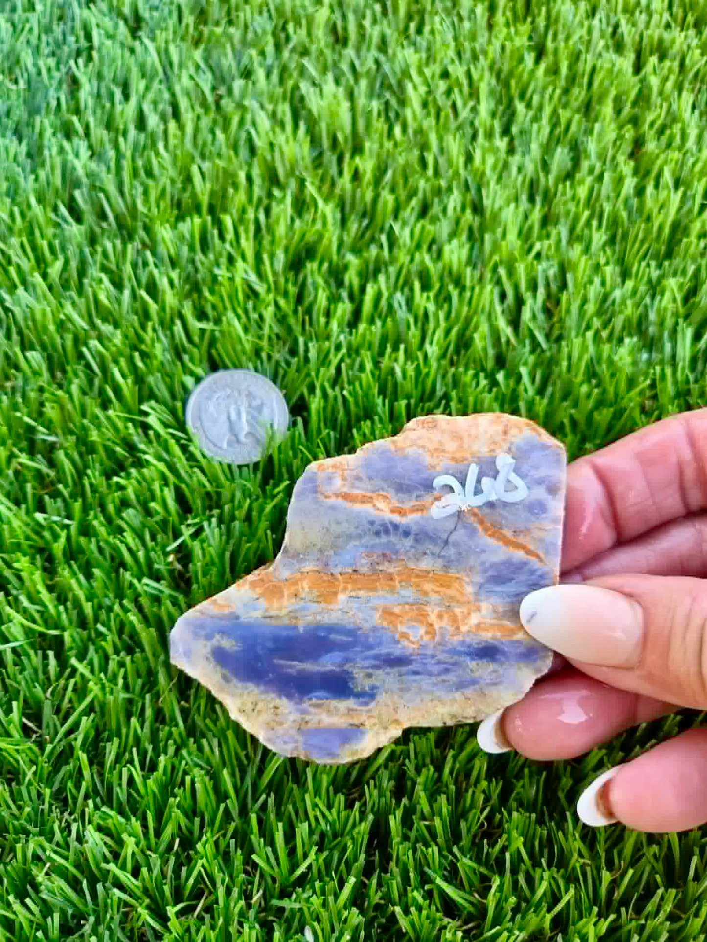 Purple Burro Creek Agate Slab 263-269