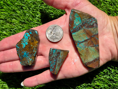 Globe Chrysocolla Slab Bundle-SB44