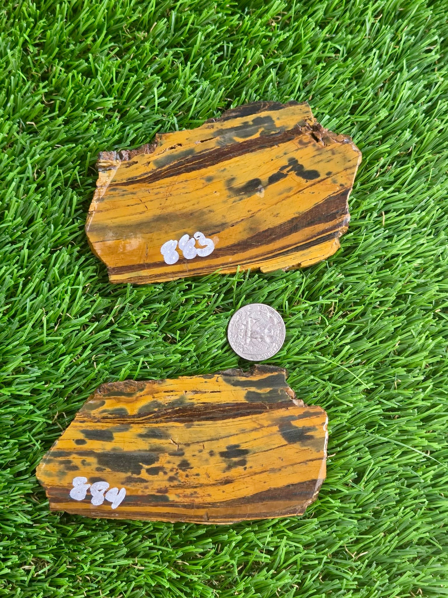 Golden Tiger Eye Slabs R883–884