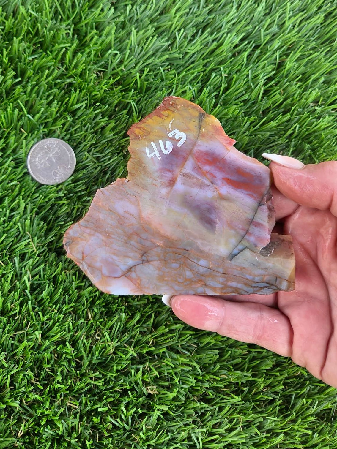 Arizona Rainbow Petrified Wood Slab J463-469