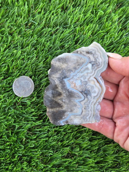 Gray Banded Crazy Lace Agate Slabs O717–723