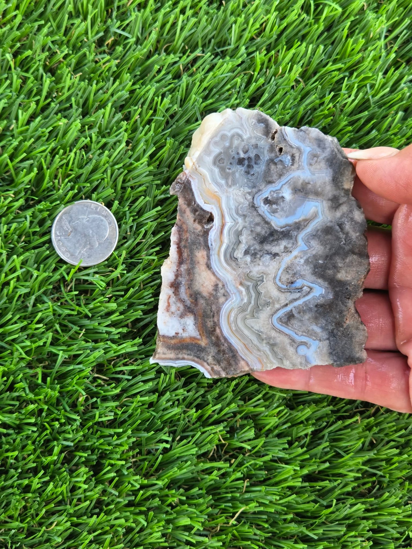Gray Banded Crazy Lace Agate Slabs O717–723