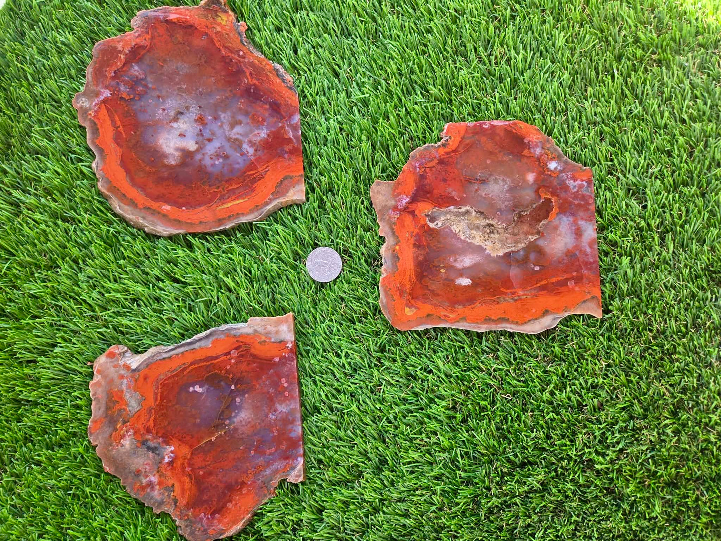 Red Carnelian Fortification Agate Slabs Q794–796