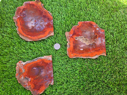 Red Carnelian Fortification Agate Slabs Q794–796