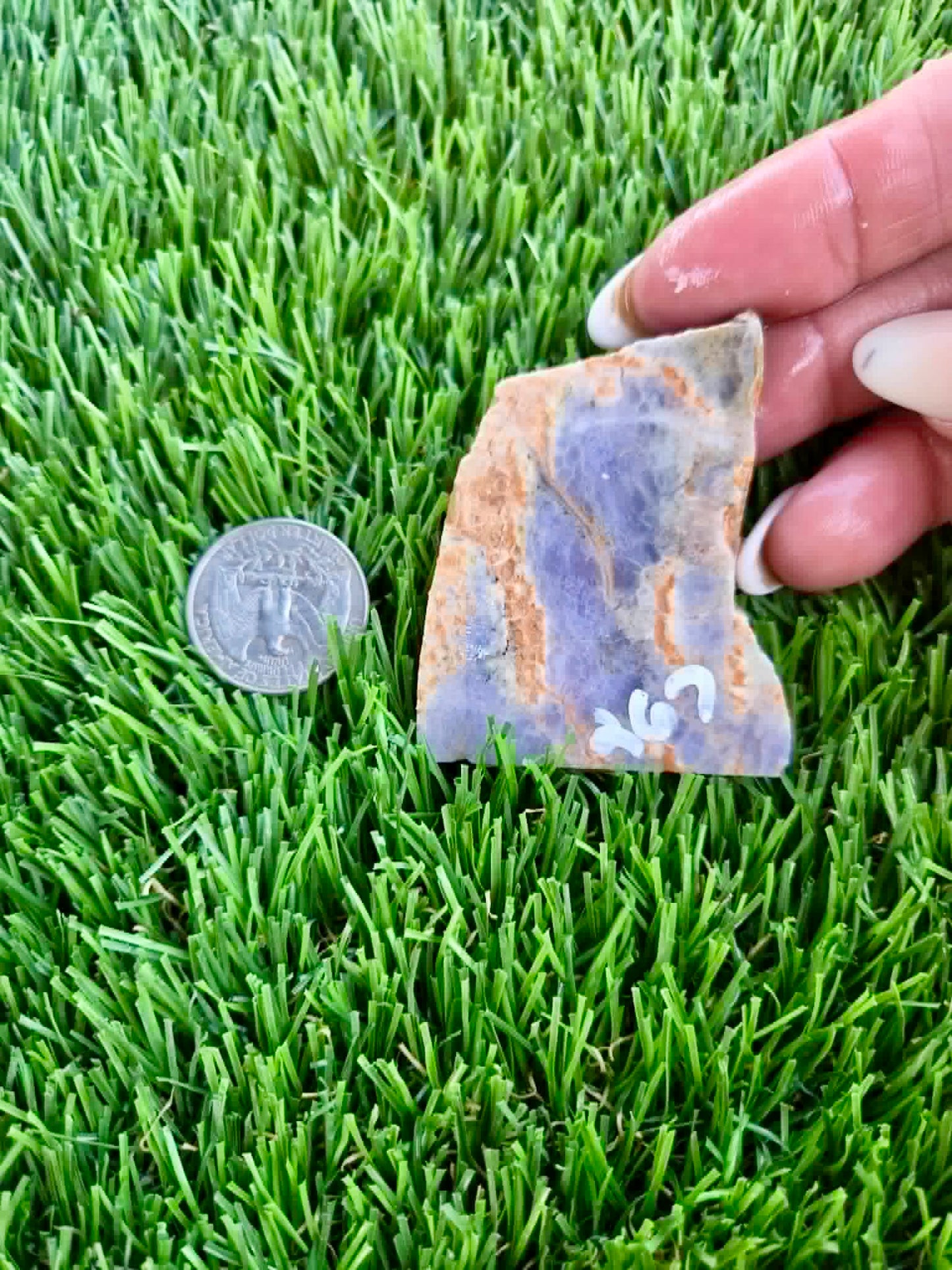 Purple Burro Creek Agate Slab 263-269