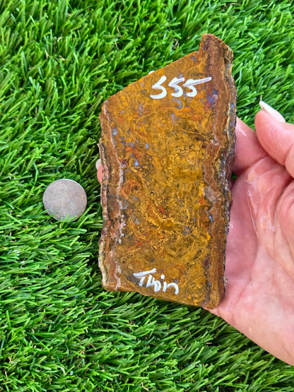 Plume Moss Agate Slabs L553-556