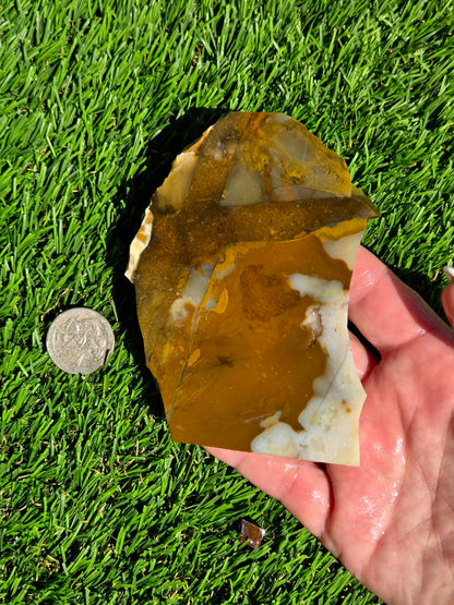 Oregon Polka Dot Jasper Slabs M612-617
