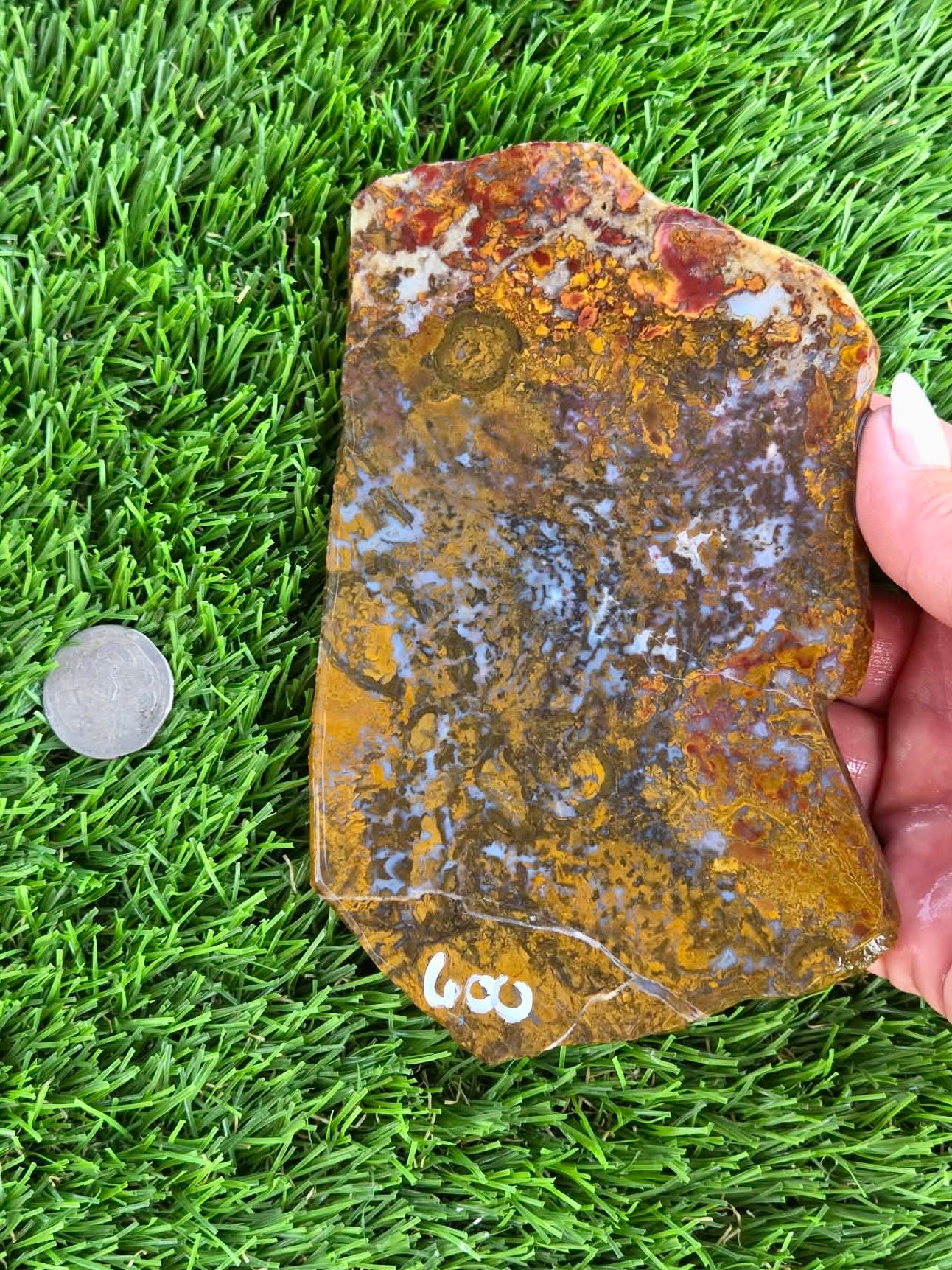 Camp Verde Moss Agate Slabs M599-601