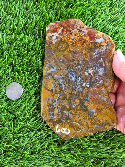 Camp Verde Moss Agate Slabs M599-601