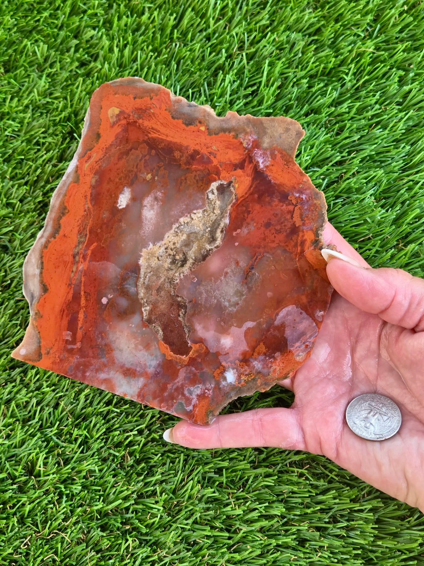 Red Carnelian Fortification Agate Slabs Q794–796