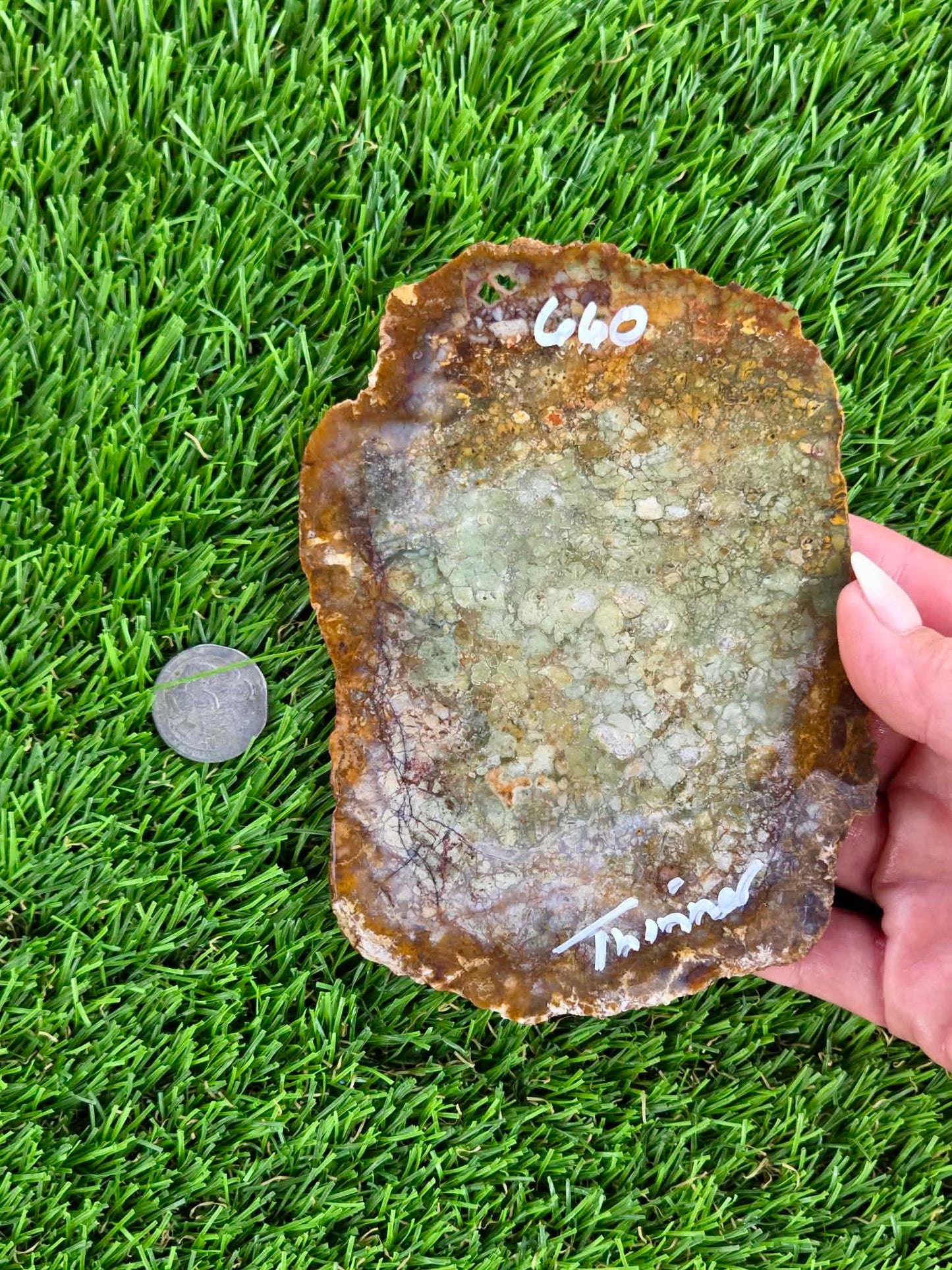Brecciated Jasper Slabs N658-660